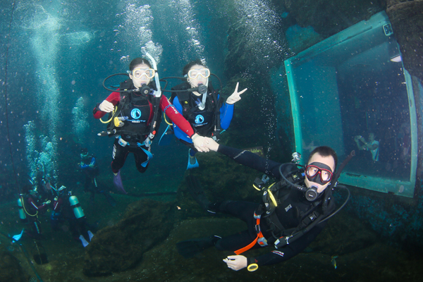 12/12正式上線！PADI 最新課程【休閑潛水員Resort Diver】 丨 一天拿證，潛遍全球