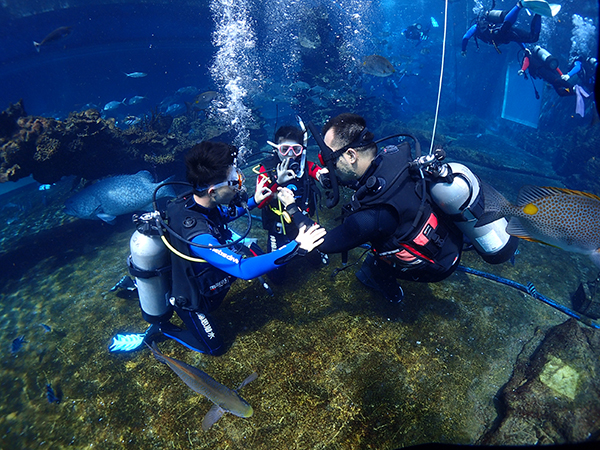 12/12正式上線！PADI 最新課程【休閑潛水員Resort Diver】 丨 一天拿證，潛遍全球